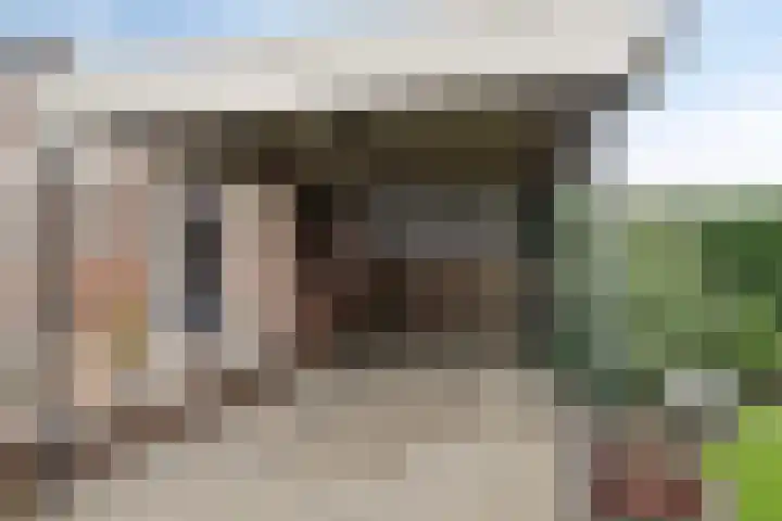 Plasweg 27 IJsselmuiden thumbnail 37