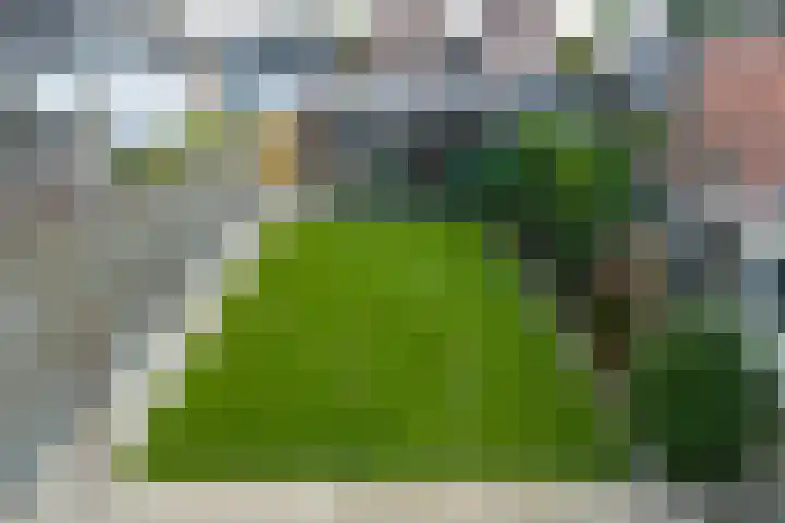 Plasweg 27 IJsselmuiden thumbnail 40
