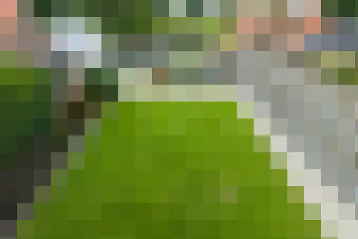 Plasweg 27 IJsselmuiden thumbnail 41