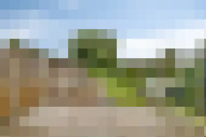 Plasweg 27 IJsselmuiden thumbnail 48