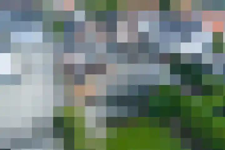 Plasweg 27 IJsselmuiden thumbnail 51