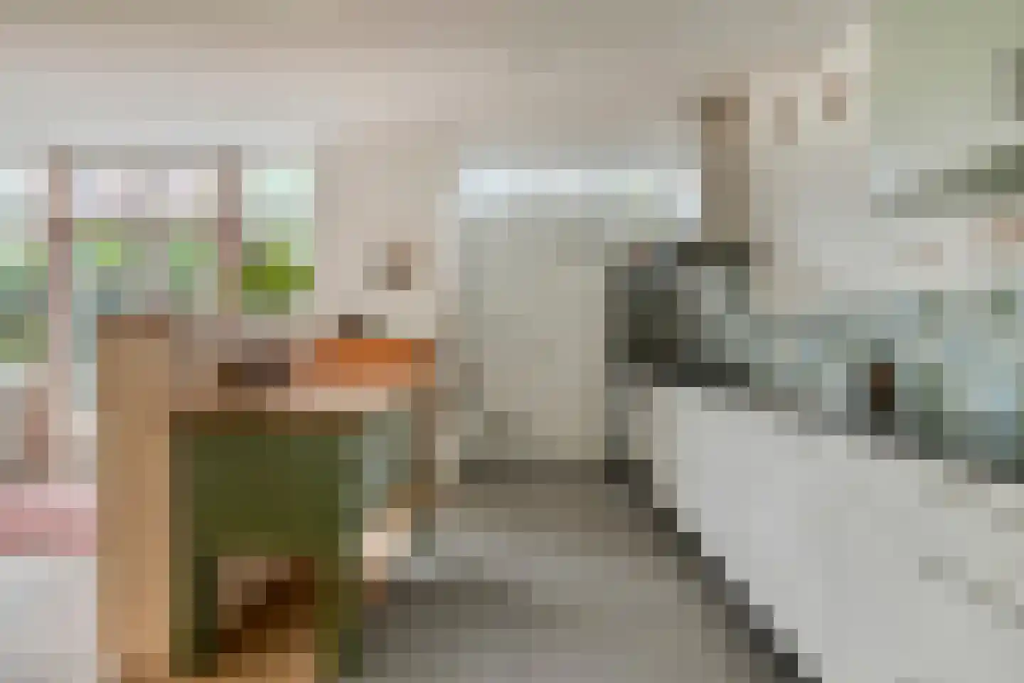 Plasweg 37 Soest thumbnail 11