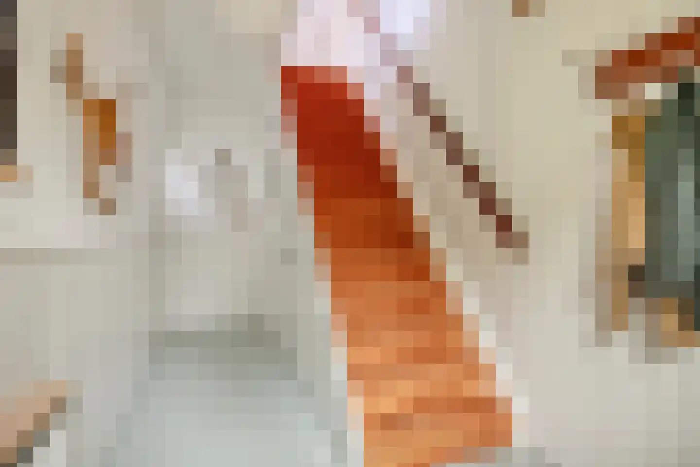 Plasweg 37 Soest thumbnail 12