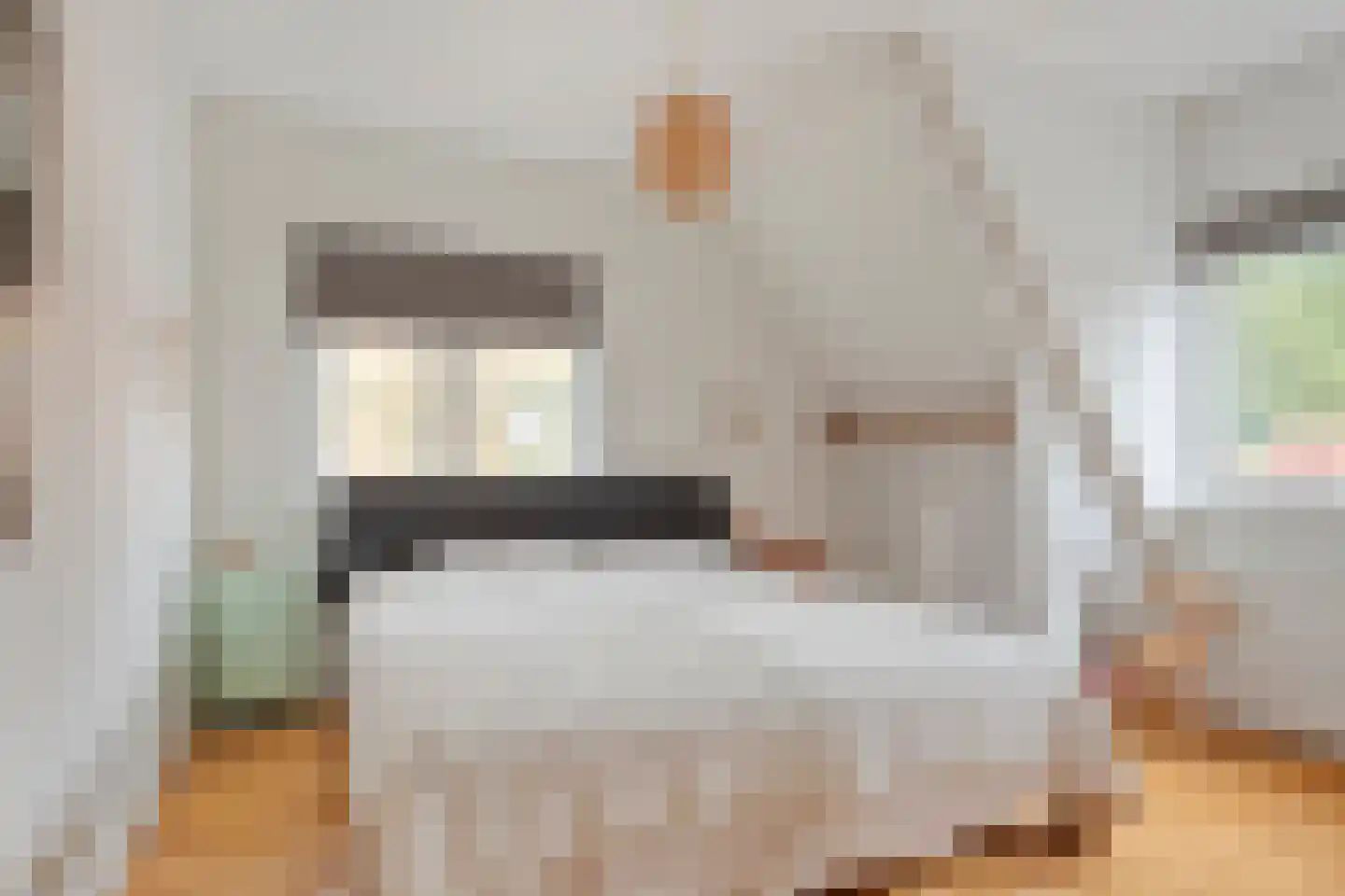 Plasweg 37 Soest thumbnail 17