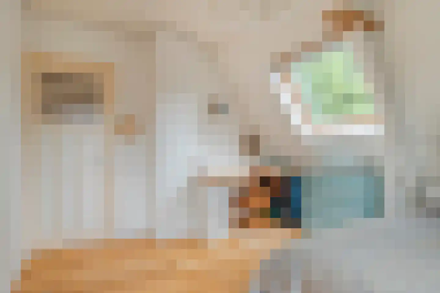 Plasweg 37 Soest thumbnail 20