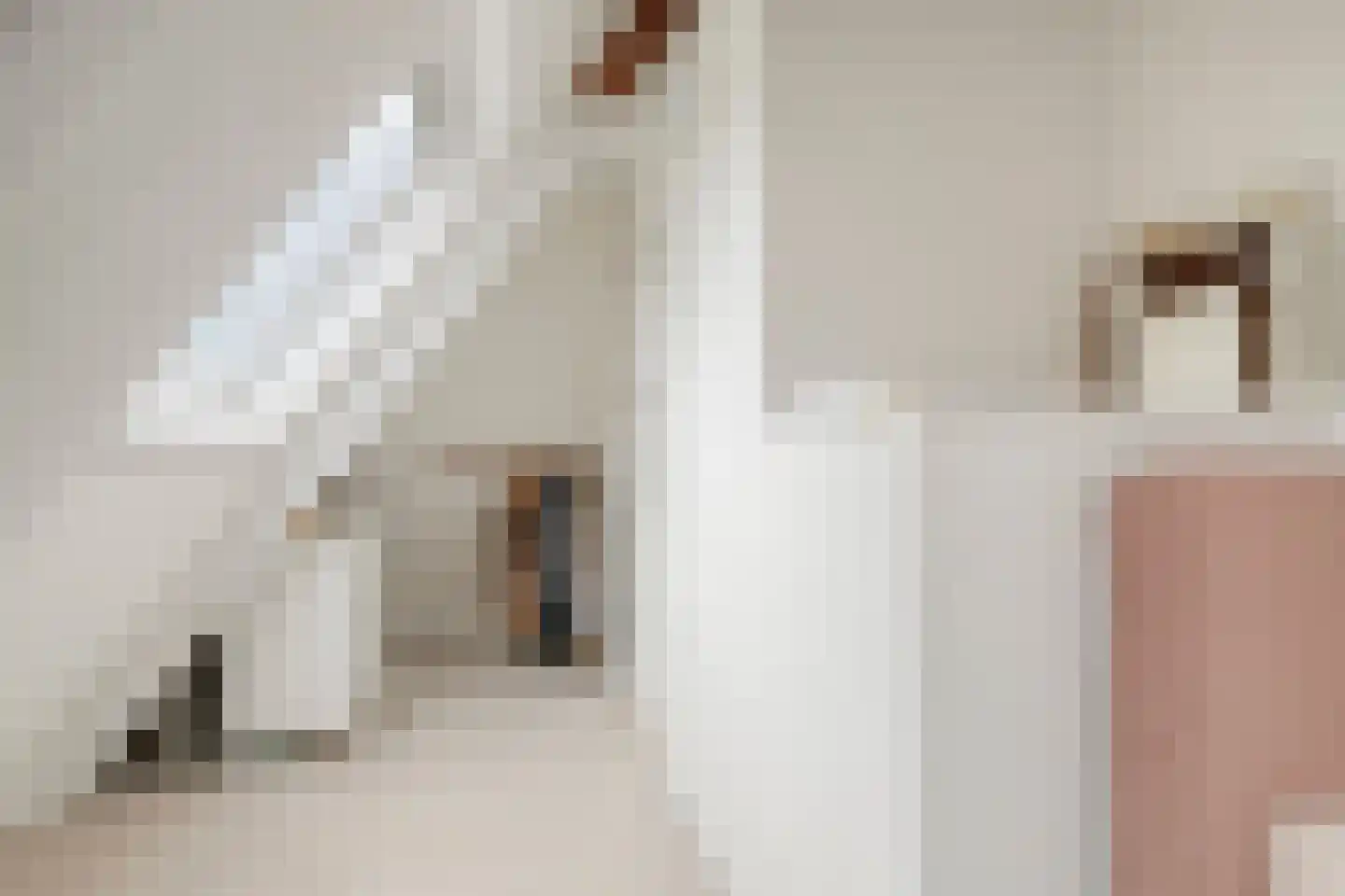 Plasweg 37 Soest thumbnail 28