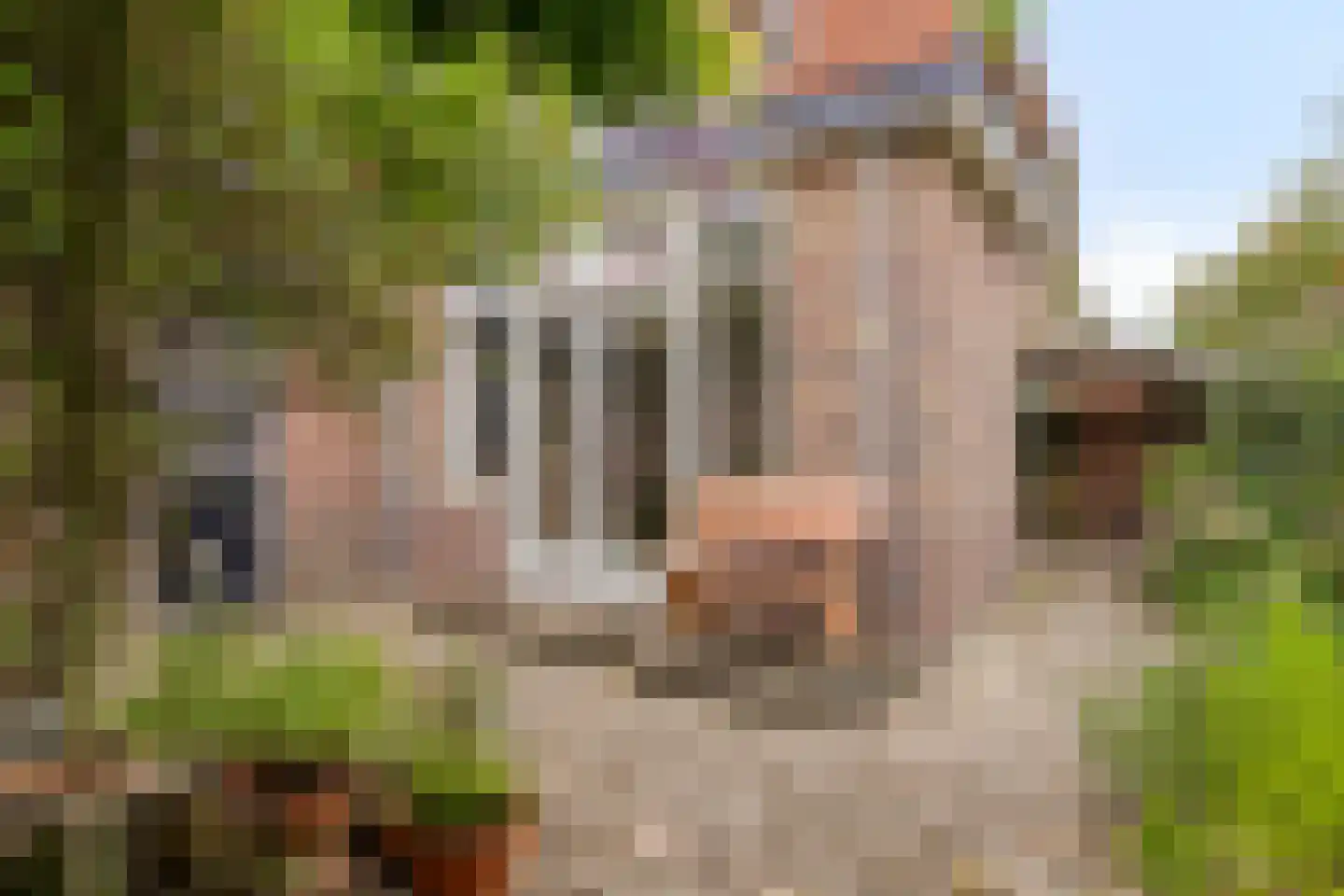 Plasweg 37 Soest thumbnail 31
