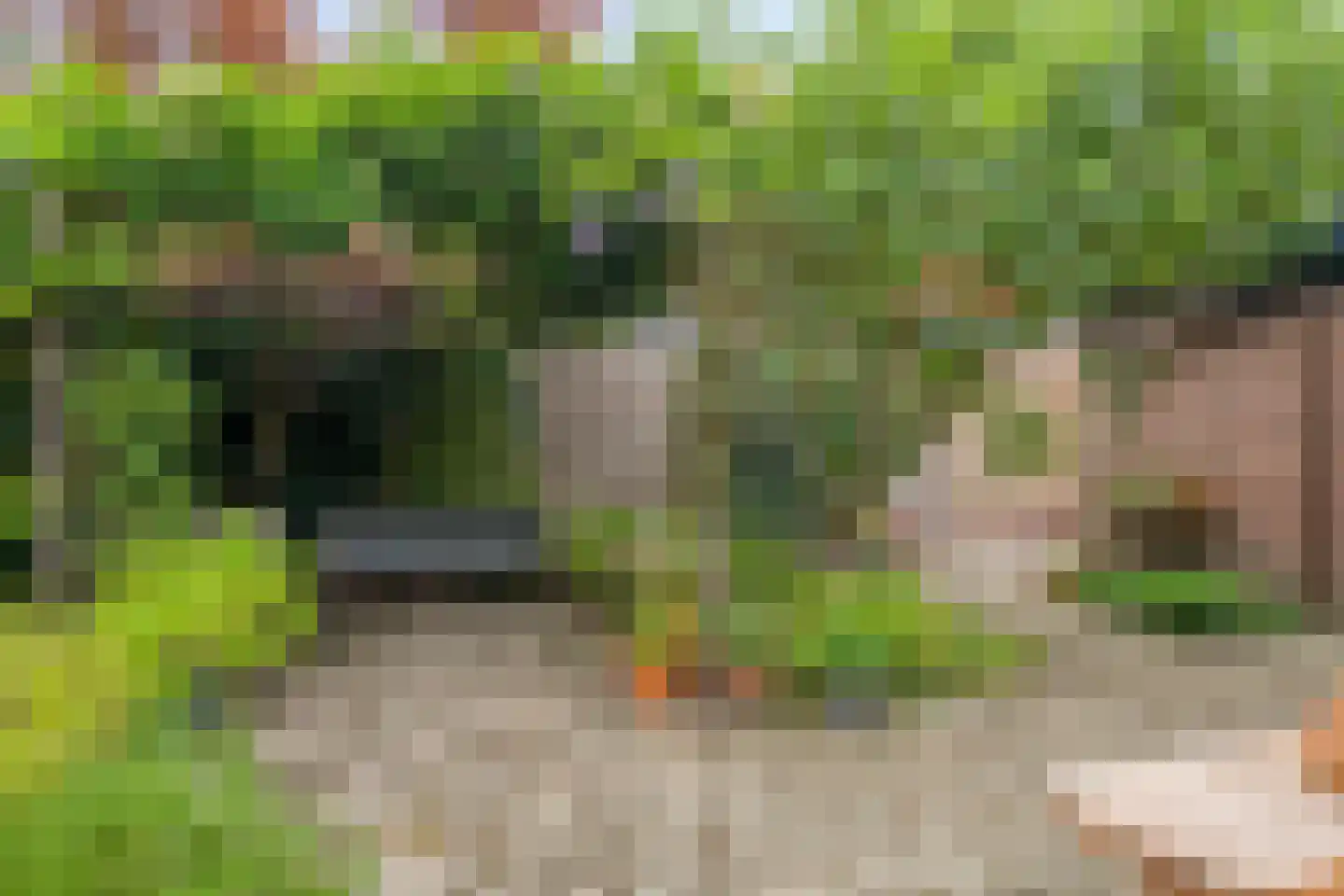 Plasweg 37 Soest thumbnail 33