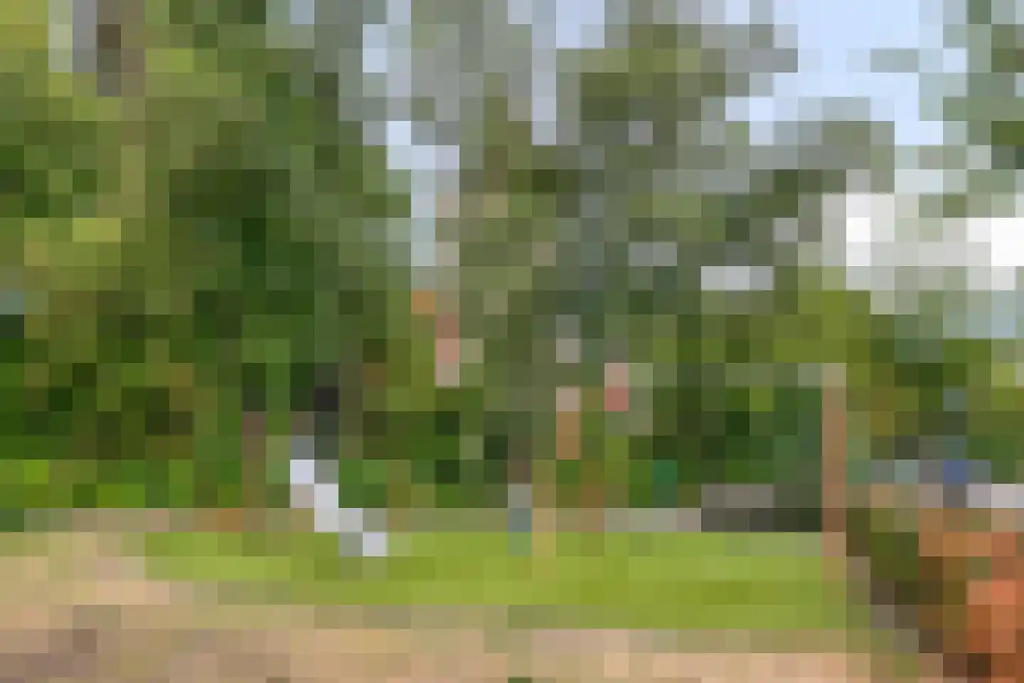 Plasweg 37 Soest thumbnail 38
