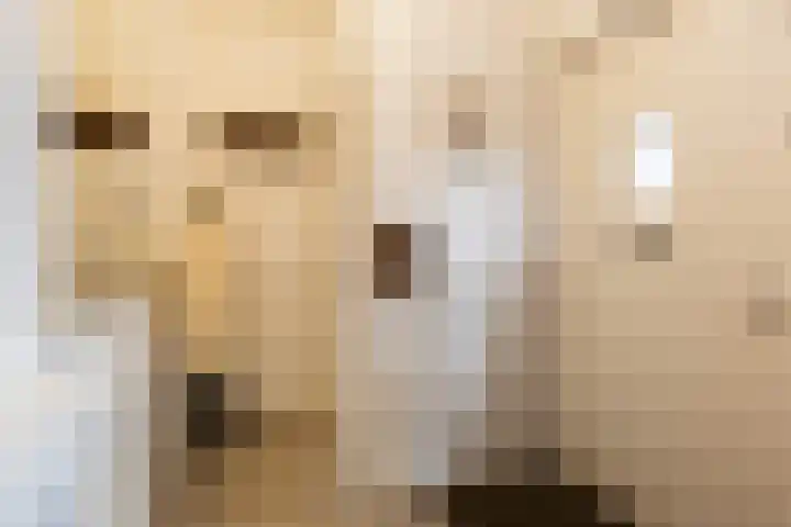 Plasweg 43 Soest thumbnail 11