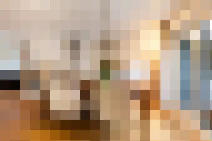 Plasweg 43 Soest thumbnail 19