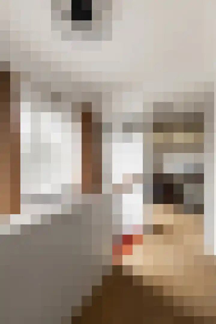 Plasweg 43 Soest thumbnail 23
