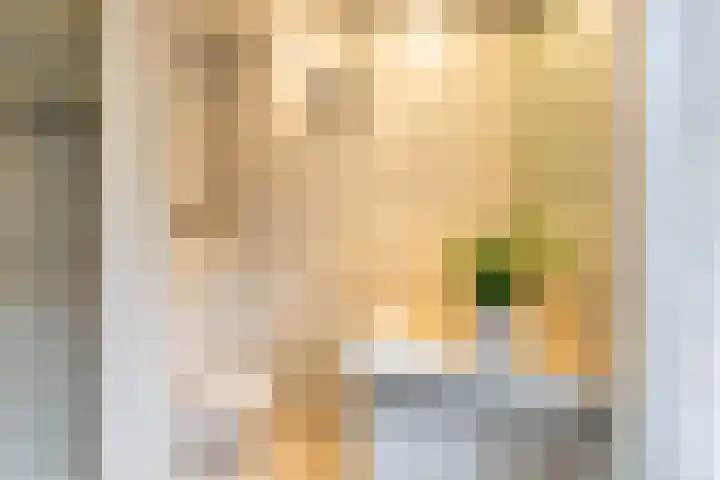Plasweg 43 Soest thumbnail 30