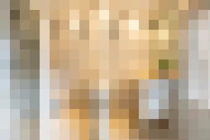 Plasweg 43 Soest thumbnail 31
