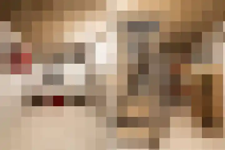 Plasweg 43 Soest thumbnail 39