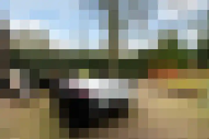 Plasweg 43 Soest thumbnail 40