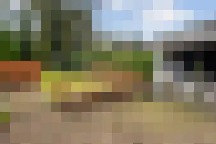 Plasweg 43 Soest thumbnail 41