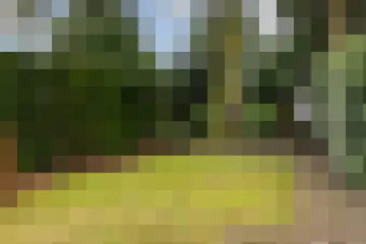 Plasweg 43 Soest thumbnail 43