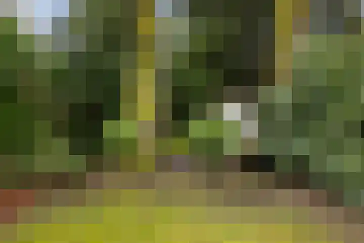 Plasweg 43 Soest thumbnail 44