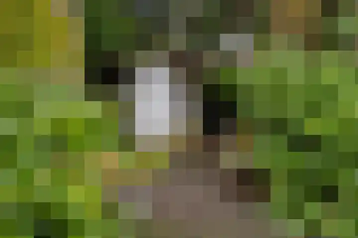 Plasweg 43 Soest thumbnail 45