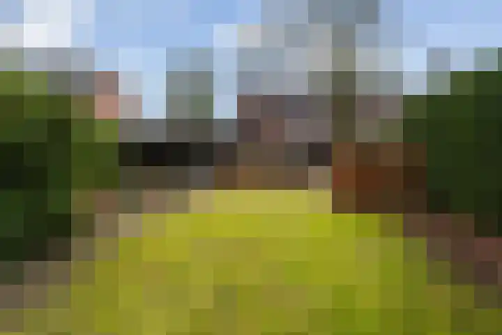 Plasweg 43 Soest thumbnail 46
