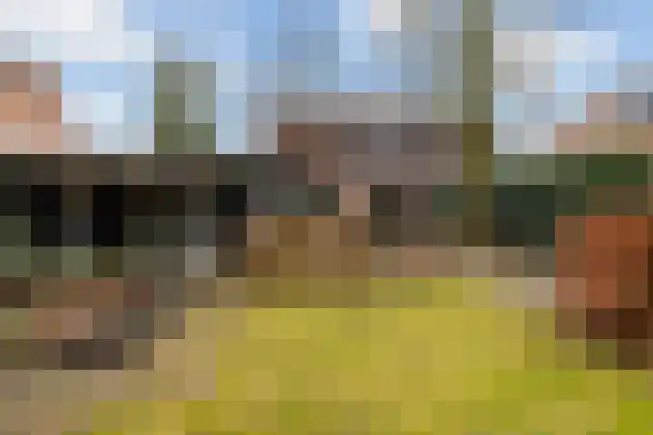 Plasweg 43 Soest thumbnail 47