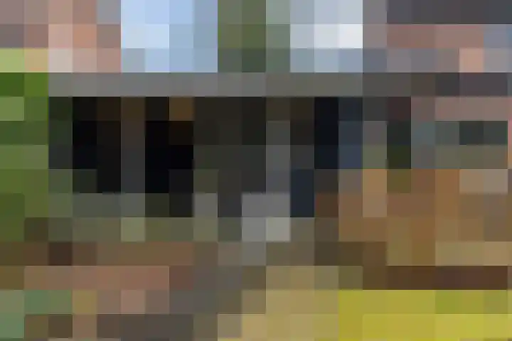 Plasweg 43 Soest thumbnail 48
