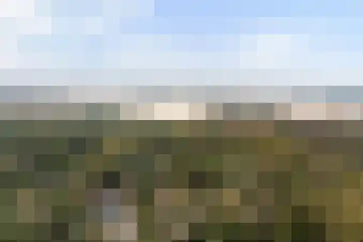Plasweg 43 Soest thumbnail 49