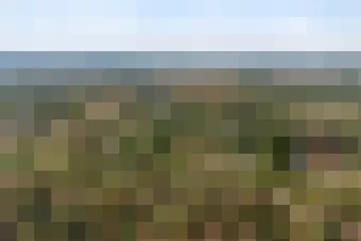 Plasweg 43 Soest thumbnail 50