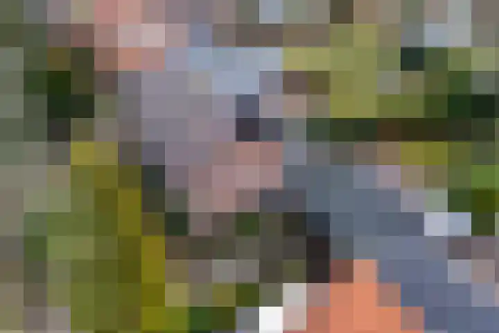 Plasweg 43 Soest thumbnail 53