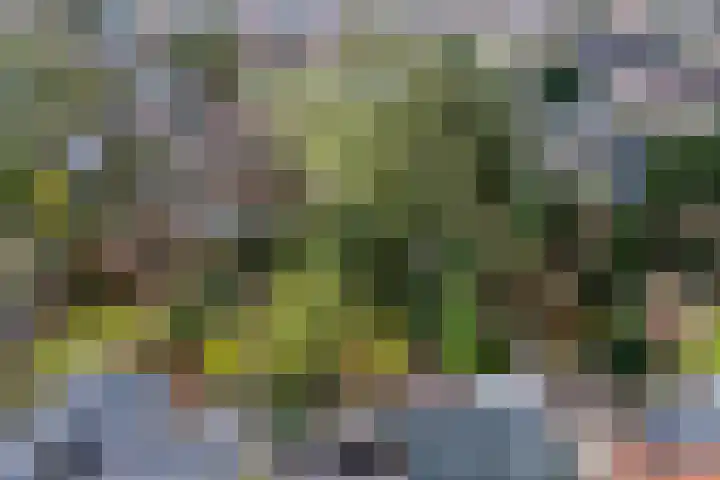 Plasweg 43 Soest thumbnail 55