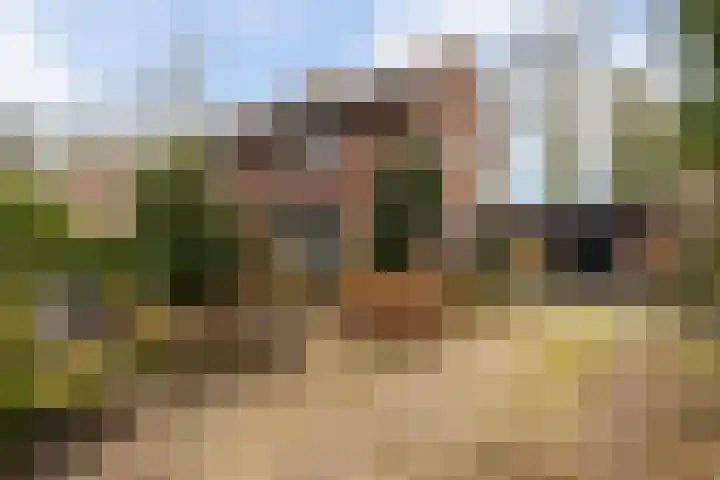Plasweg 43 Soest thumbnail 8