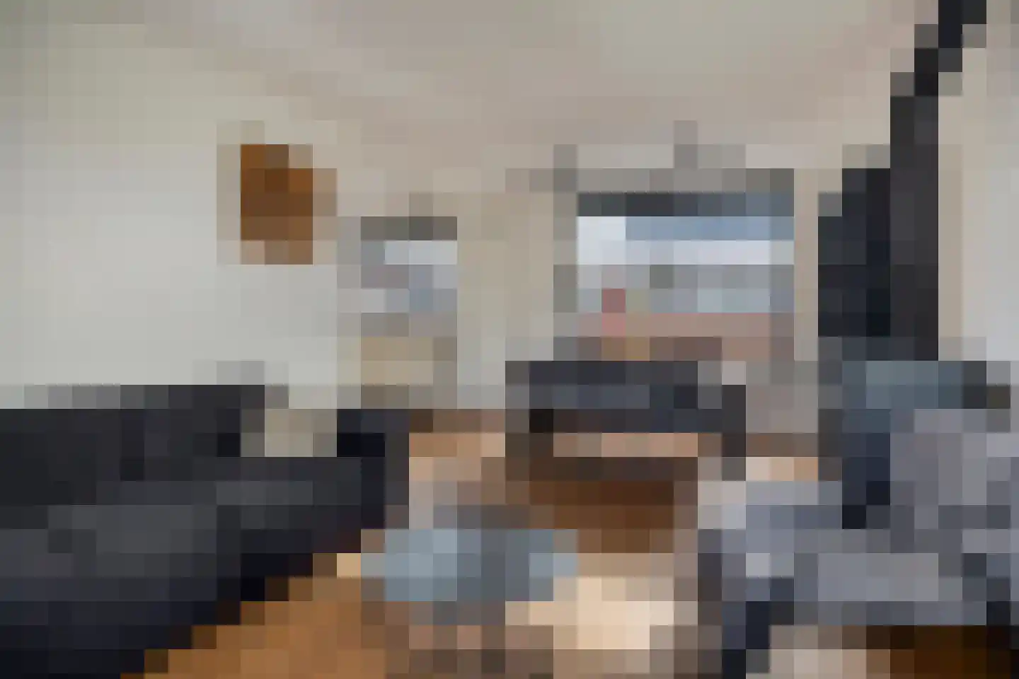 Plasweg 5 A IJsselmuiden thumbnail 13