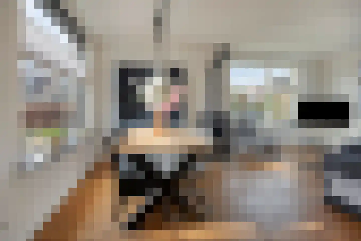 Plasweg 5 A IJsselmuiden thumbnail 15