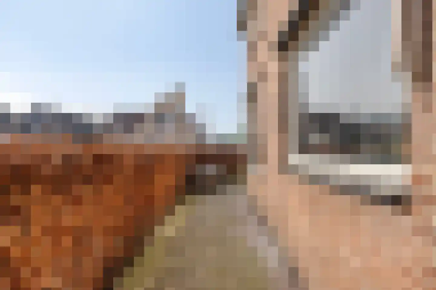 Plasweg 5 A IJsselmuiden thumbnail 37
