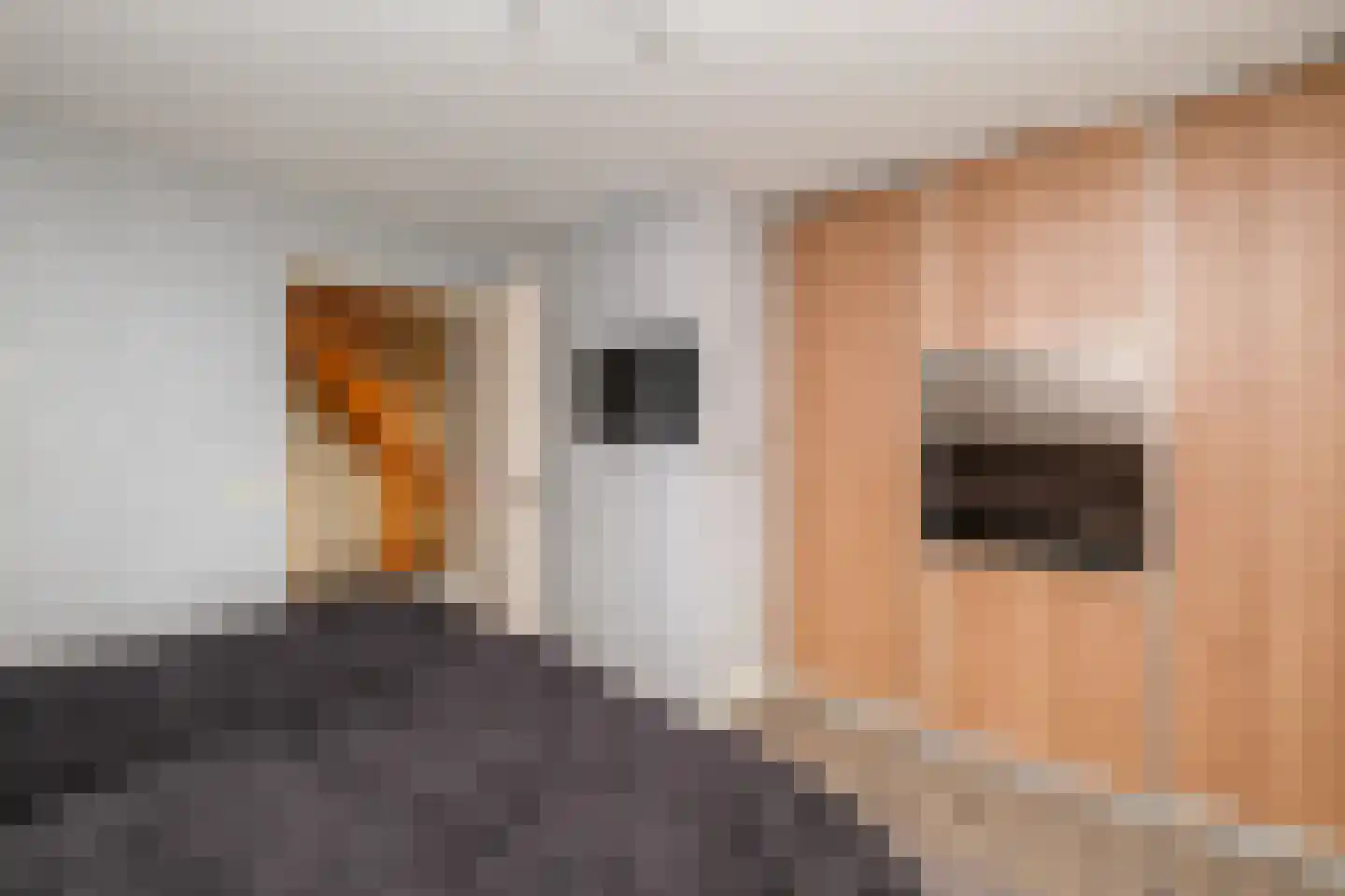 Plasweg 5 IJsselmuiden thumbnail 16