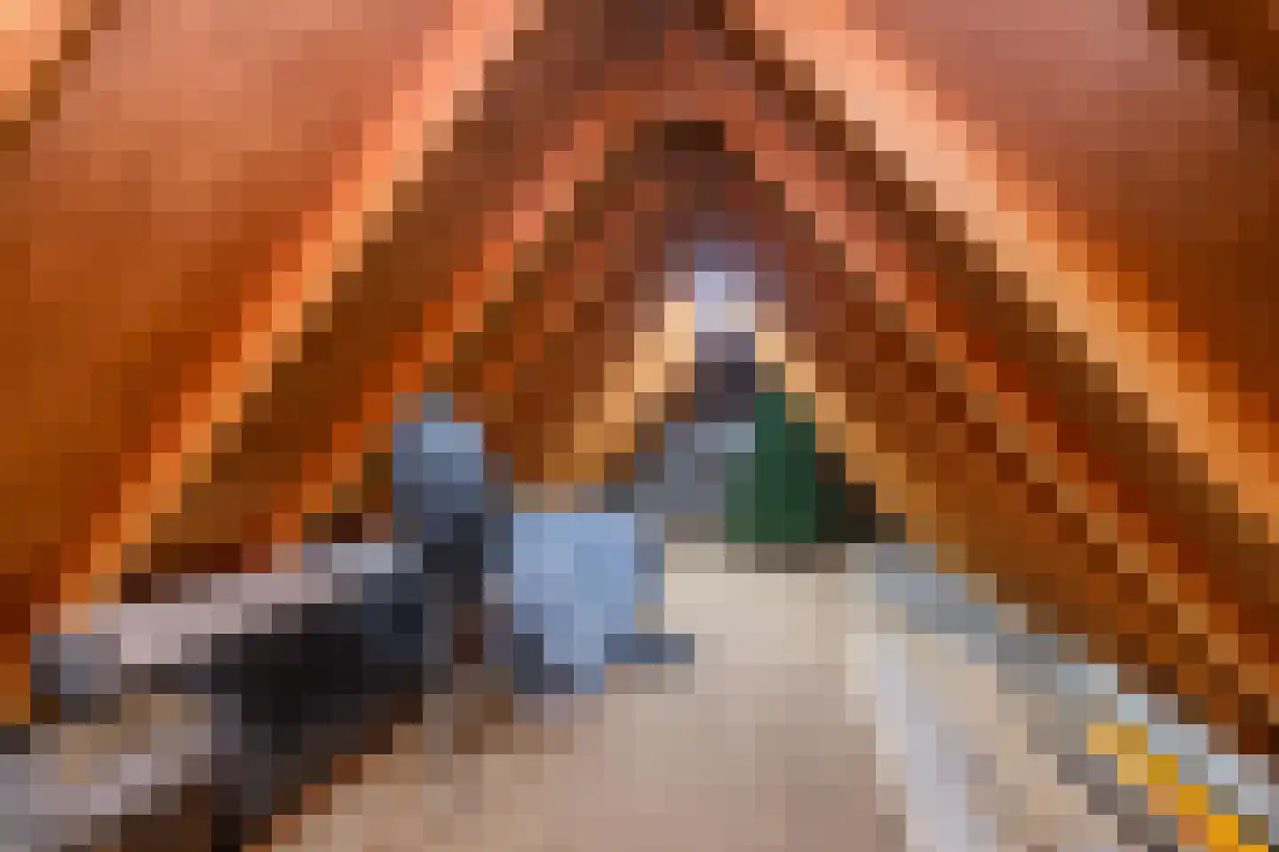Plasweg 5 IJsselmuiden thumbnail 28