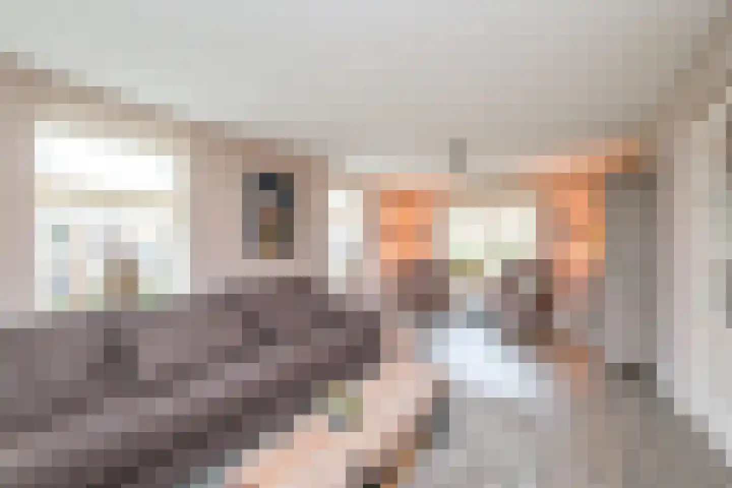 Plasweg 5 IJsselmuiden thumbnail 9