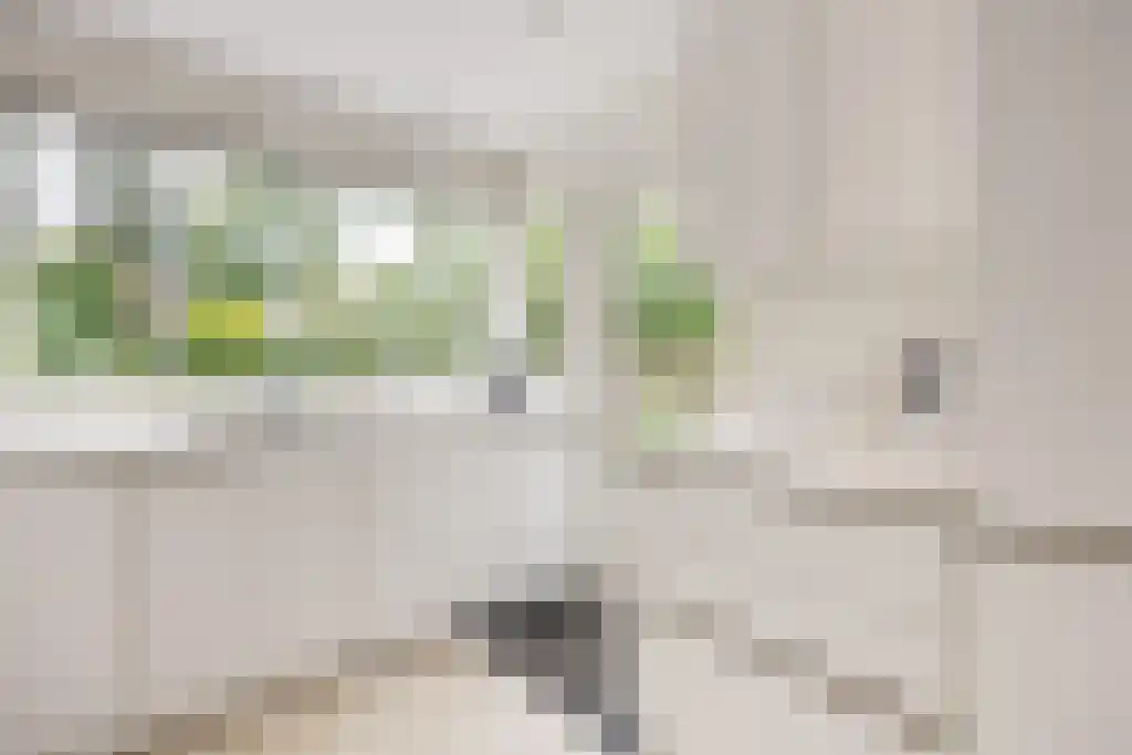 Plasweg 50 Soest thumbnail 13