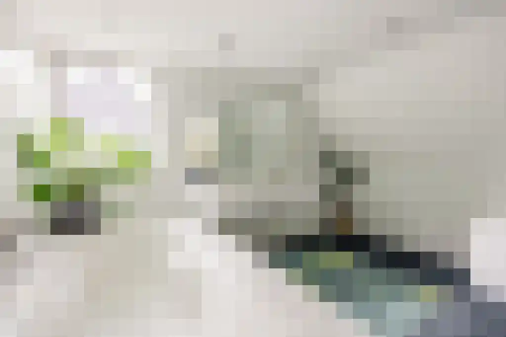 Plasweg 50 Soest thumbnail 25