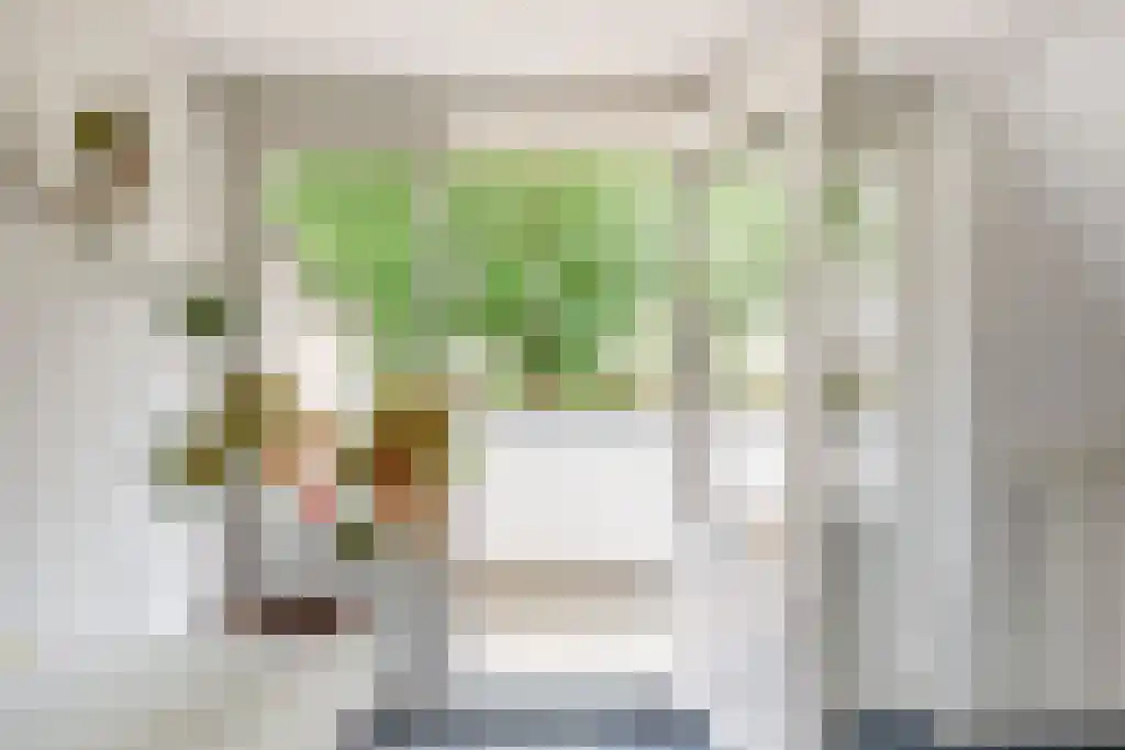 Plasweg 50 Soest thumbnail 29