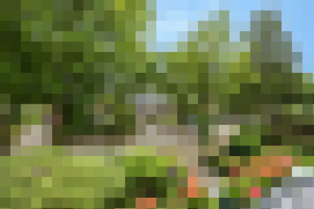 Plasweg 50 Soest thumbnail 32
