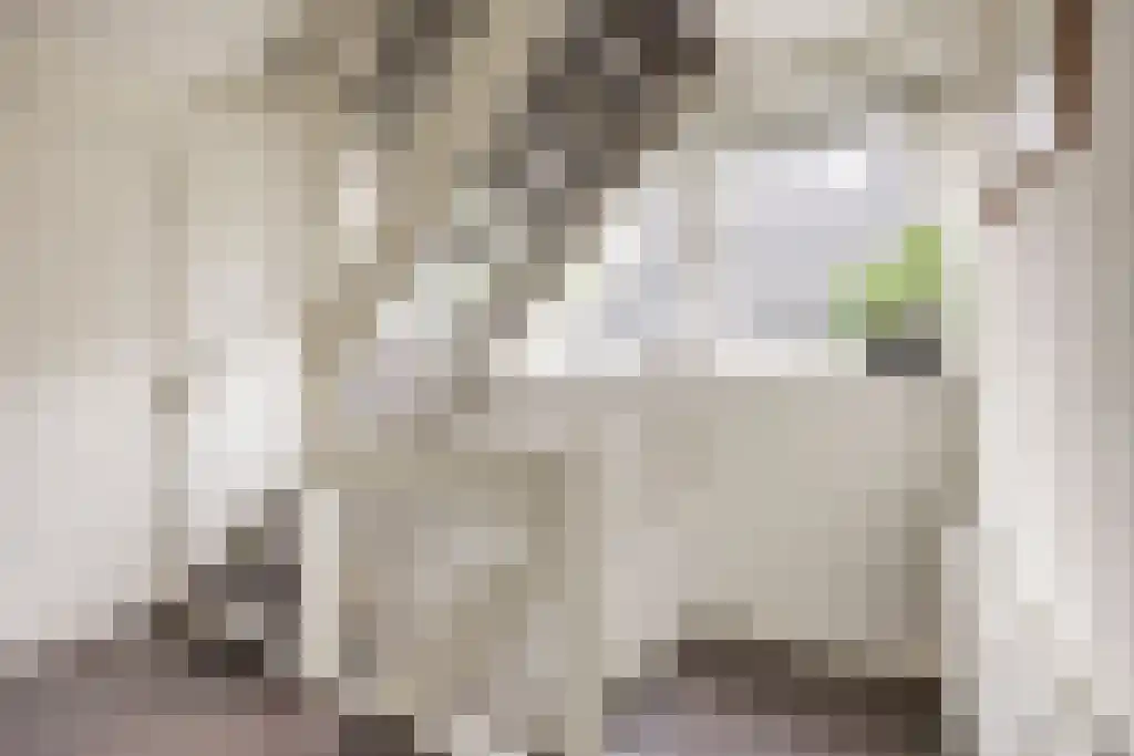 Plasweg 50 Soest thumbnail 36