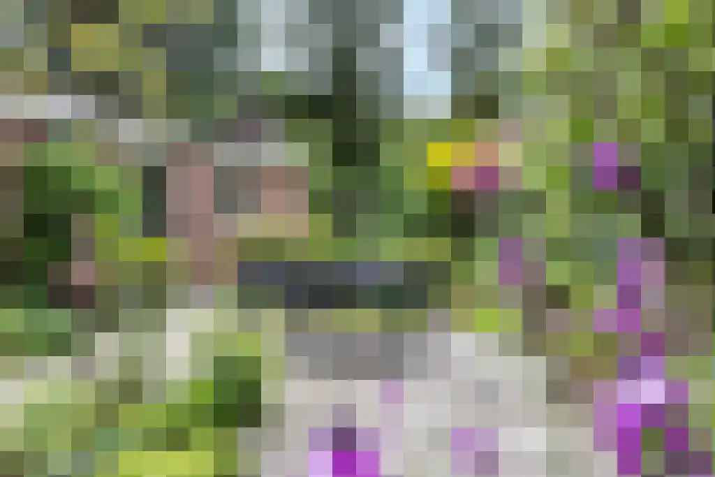 Plasweg 50 Soest thumbnail 44