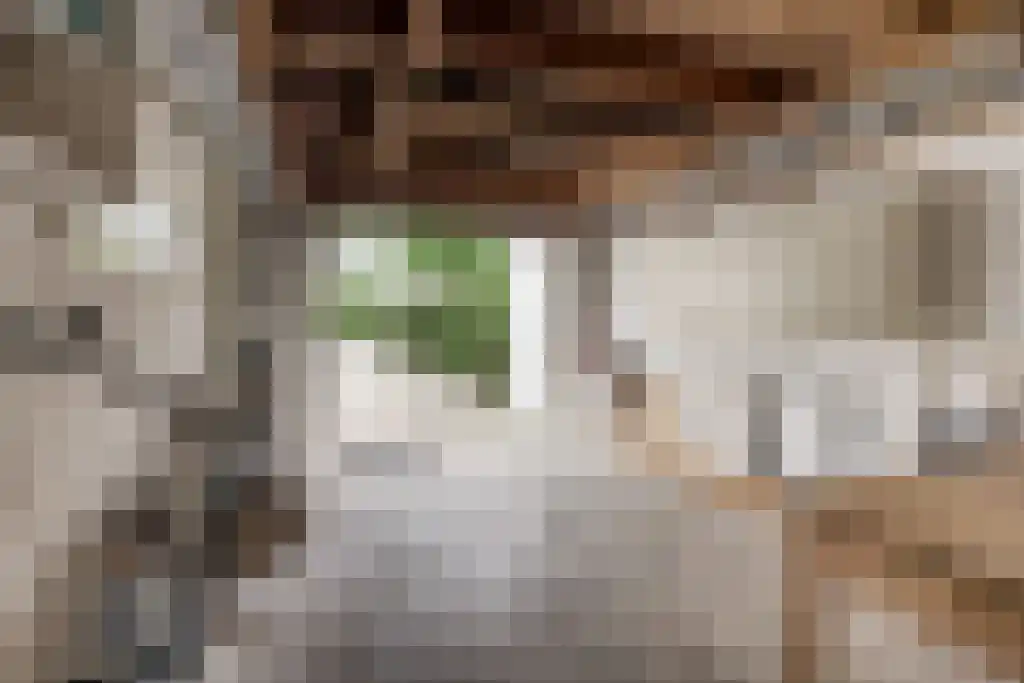 Plasweg 50 Soest thumbnail 49