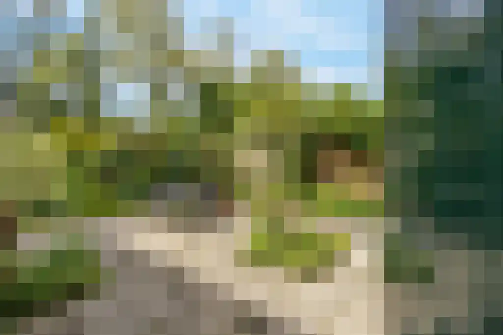 Plasweg 50 Soest thumbnail 52