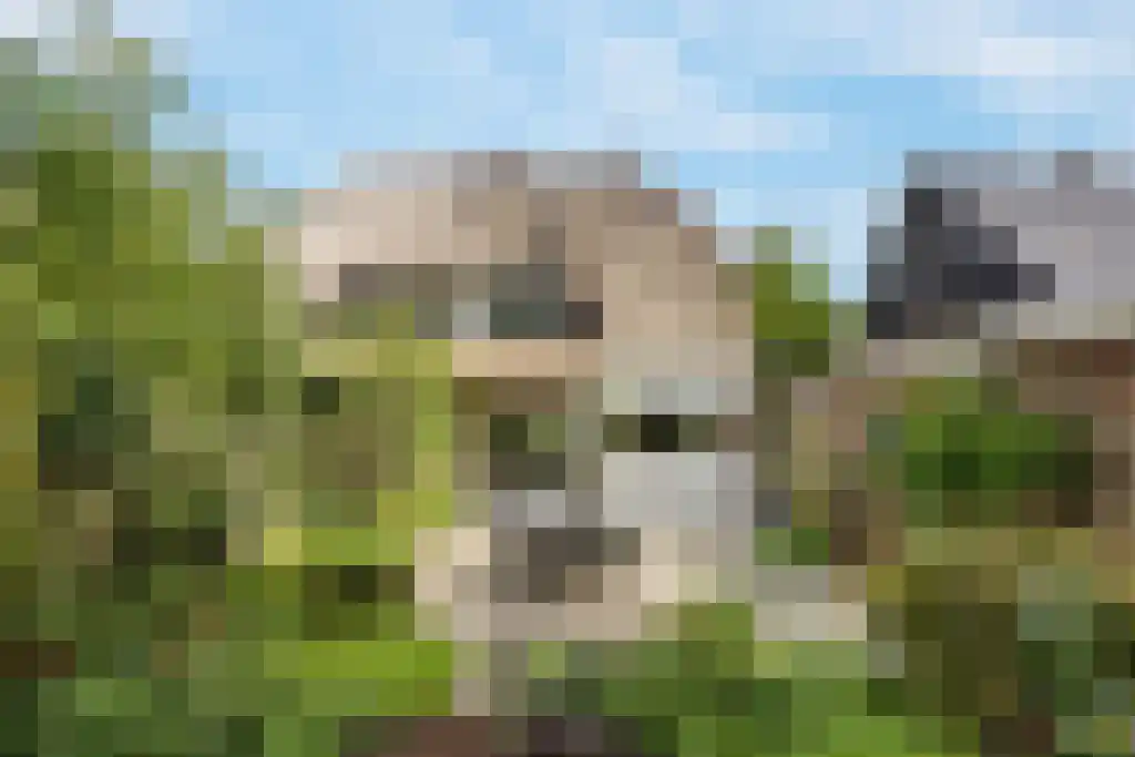 Plasweg 50 Soest thumbnail 53