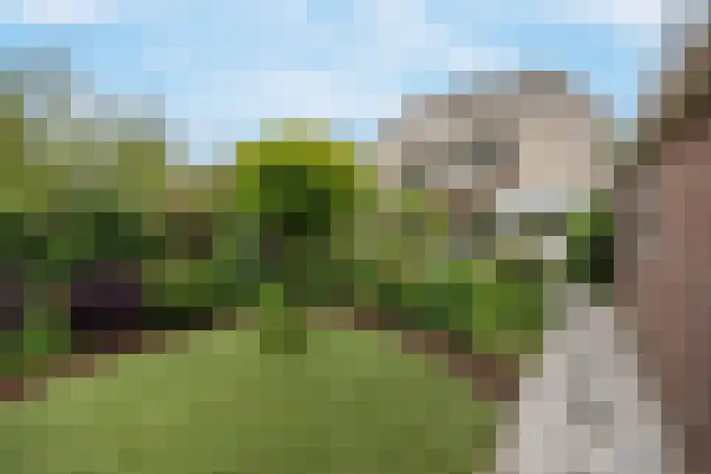 Plasweg 50 Soest thumbnail 54