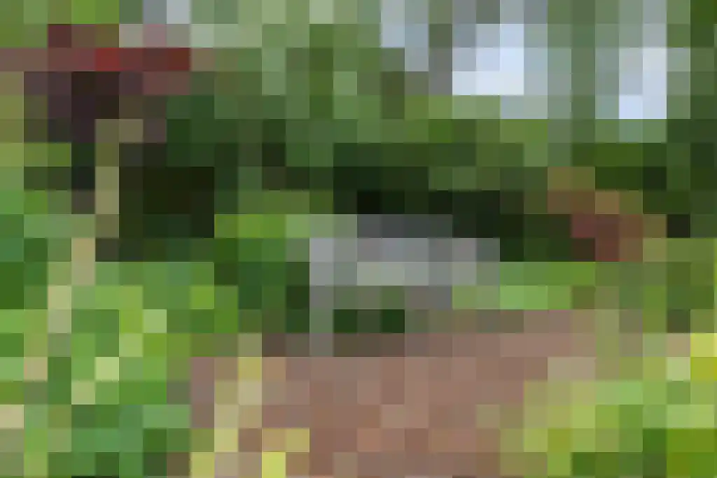 Plasweg 50 Soest thumbnail 55