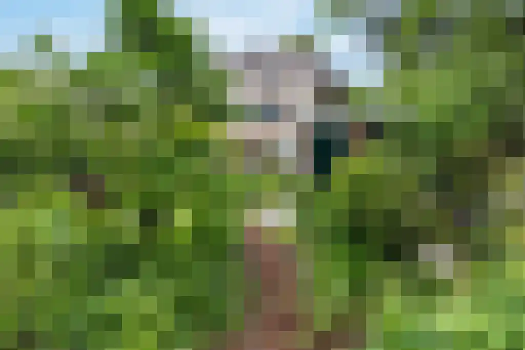 Plasweg 50 Soest thumbnail 56